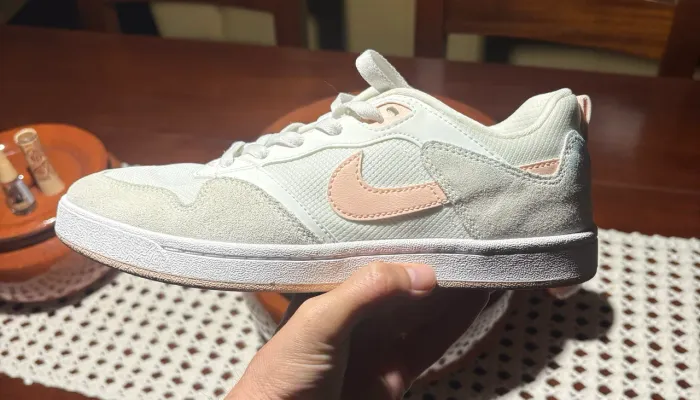Tênis Nike SB Alleyoop