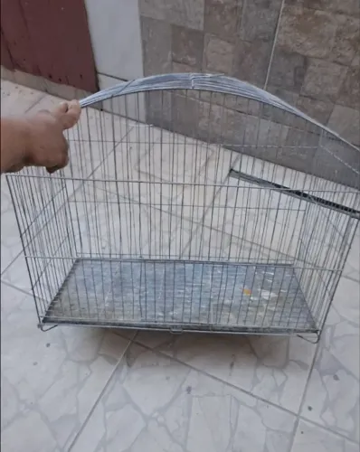 Gaiola 