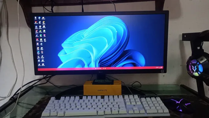 Monitor