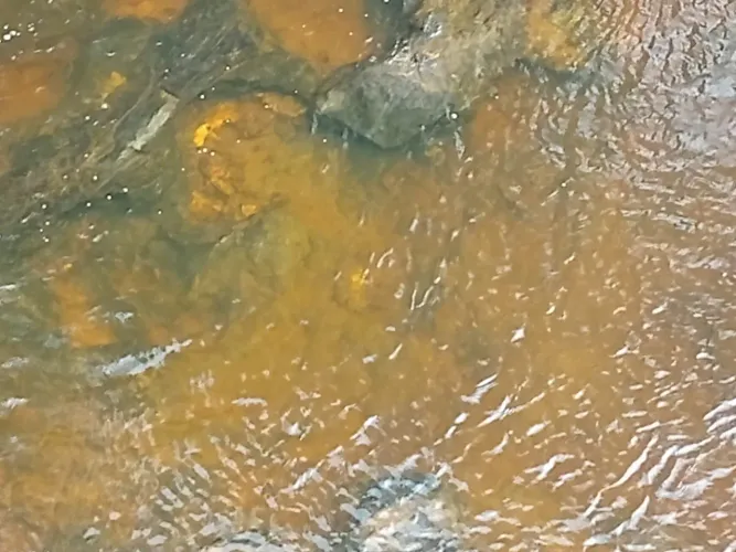 Terreno em Fechados Serra do Cipó