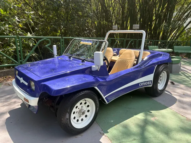 Volkswagen Buggy 1.6 8V Gasolina 2P Manual 1980