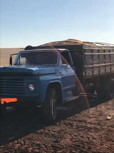 Fordão topa-tudo