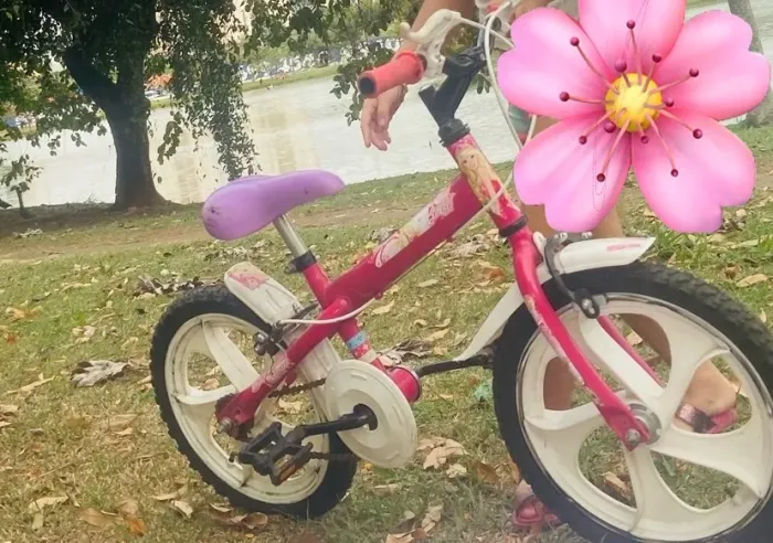 Bicicleta infantil