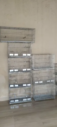Gaiolas 