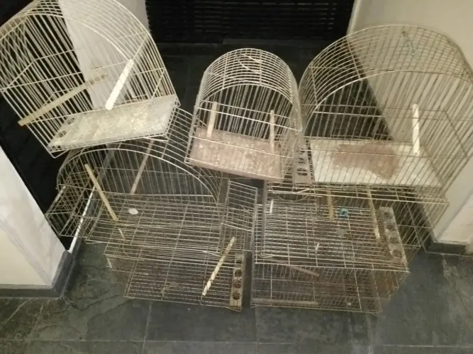 Gaiolas para pássaros 