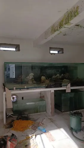 Aquários gigantes