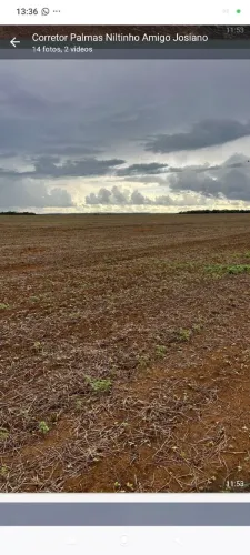 Fazenda de arrendamento TO. São 3 áreas perto 931 hec