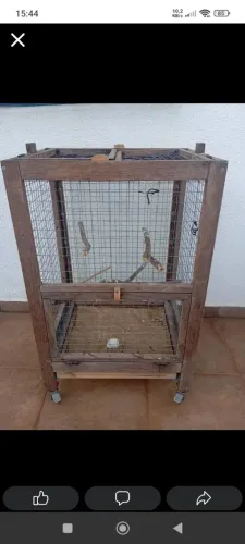 Viveiro para calopsitas e pássaros em geral