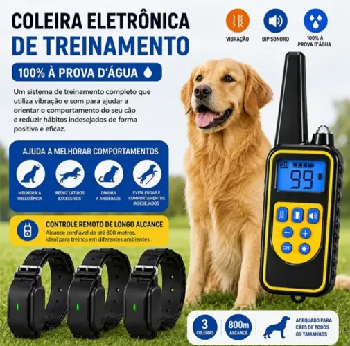 Coleira de treinamento