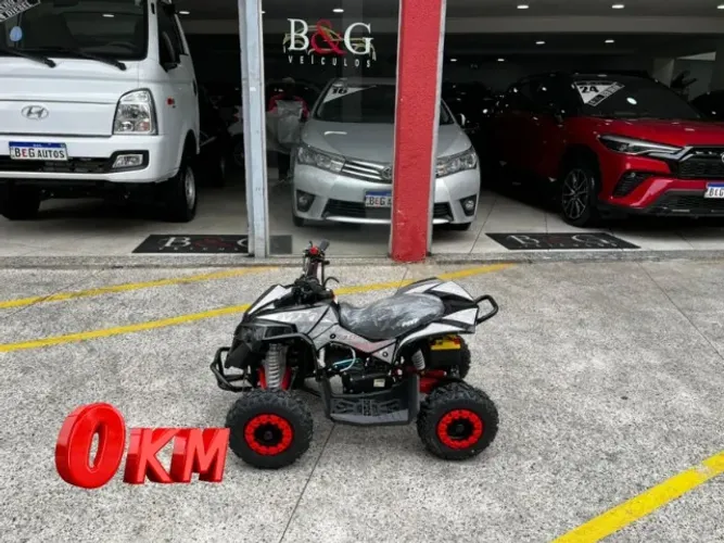Mini Quadriciclo Mxf Thor49cc Compartida 0km Pronta Entegra