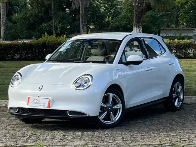 GWM Ora 03 Skin (elétrico) 2025