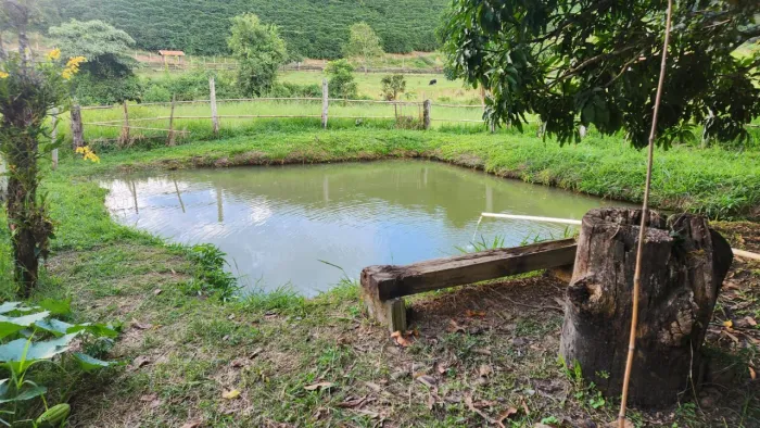 Vendo sitio 6,3 hectares em Soledade de Minas