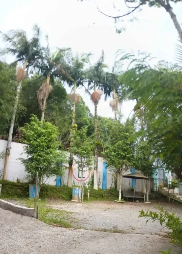Vende-se uma Chácara