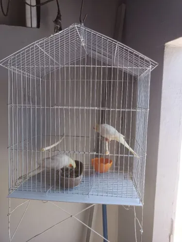 Casal de bebedor novo de dedo