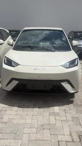 BYD Dolphin Mini (Elétrico) 2027