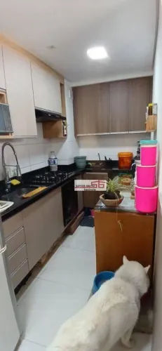 Apartamento com 2 dormitórios à venda, 35 m² por R$ 260.000,00 - Vila Palmeiras - São Paul