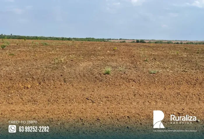 FAZENDA 1.258 HA | 550 HA PLANTANDO | 230 HA PARA EXPANSÃO | USINA SOLAR