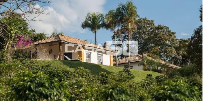 fazenda - Centro - Itapira