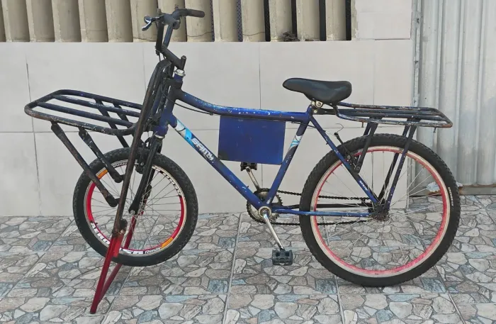 Bicicleta de carga