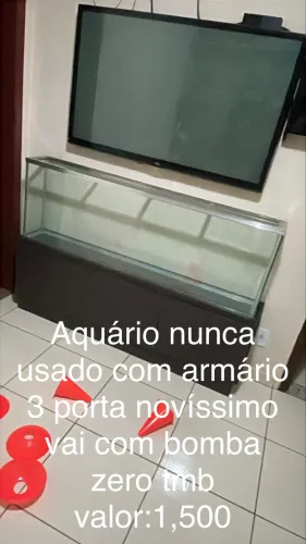 Aquário 