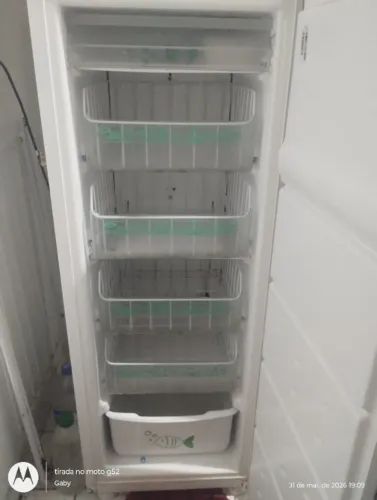 Frizzer vertical Consul 