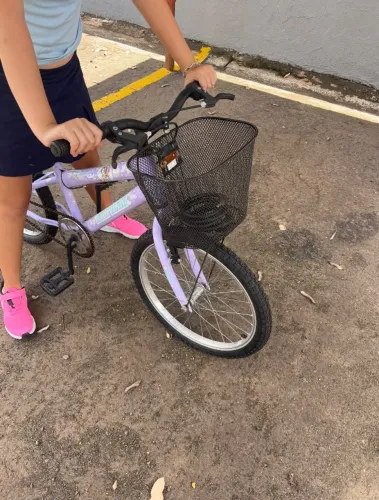 Bicicleta Aro 20 Sweet Girl Mtb 1v C/ Cesta lilás Mormaii