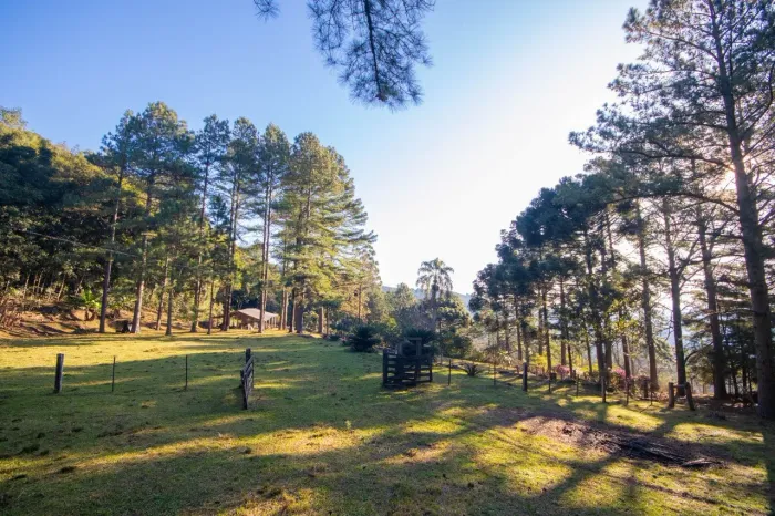 SÍTIO À VENDA, 28000 M² POR R$ 1.500.000 - ROTA ROMÂNTICA - MORRO REUTER/RS