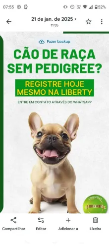 Cão de Raça precisa ter Pedigree 