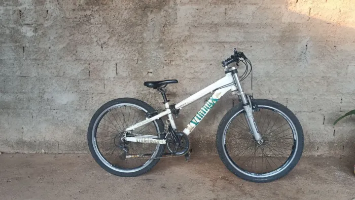 VikingsX aro 29