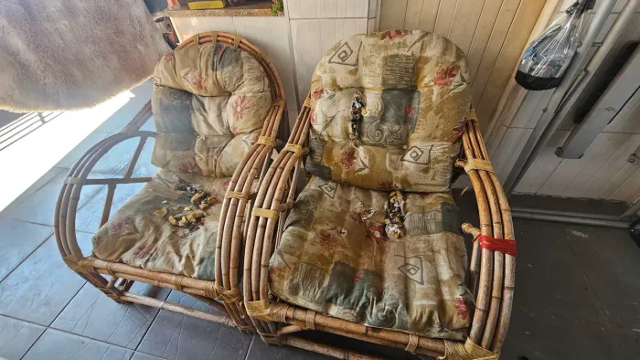 Conjunto de Cadeiras Área Gourmet - precisando de reforma