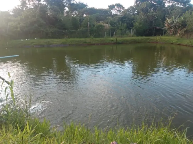 Chácara dos Sonhos a 40 km de Goiânia: Lago com Peixes, 2 Poços Artesianos, Lazer Completo