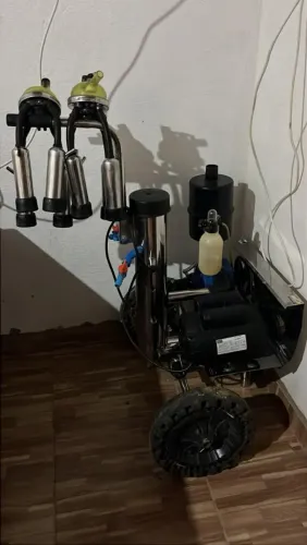 Ordenha de leite