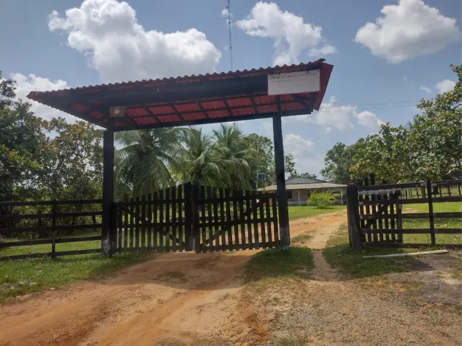 Fazenda à venda, 437 hectares às margens da BR-210, Caracaraí/RR