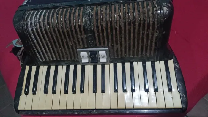 acordeon 60 baixo troco por outro instrumento 