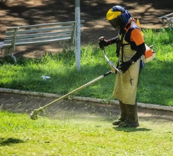 Jardinagem 