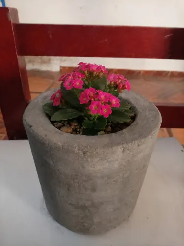 Vaso para plantas