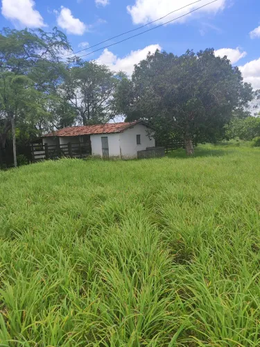 fazenda com 40 hectares em comum município de Monte Alegre um luxo de fazenda