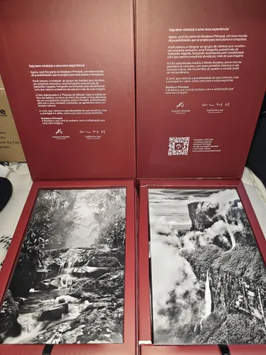 Obra de arte Sebastião Salgado Bradesco Principal