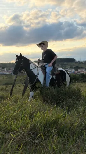 Pampa Manso e Bonito à Venda - Ótima Oportunidade