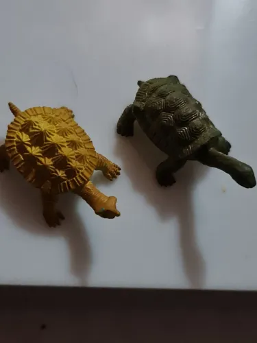 Par de tartaruga borracha antiga.