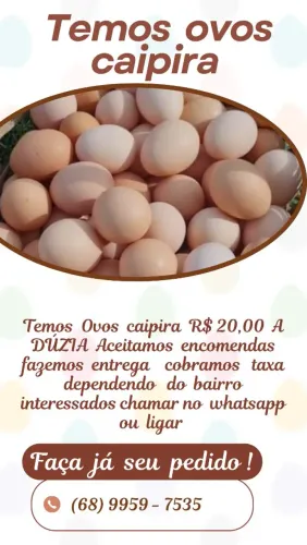 Peça já seu ovos caipira