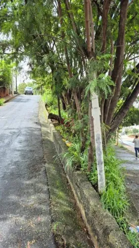 EXCELENTE LOTE A VENDA NO BAIRRO NOVA SUISSA!