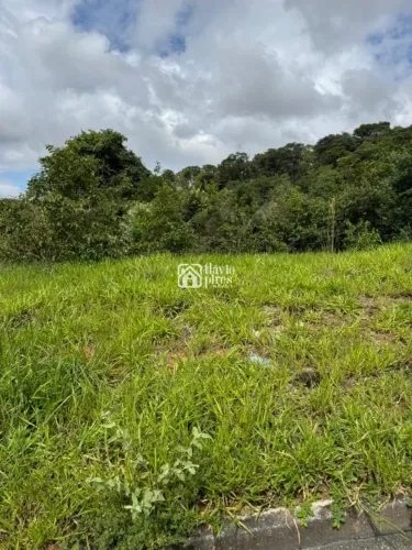 Lote no Bairro Vila Verde - Betim - Oportunidade única para você realizar o seu sonho da c