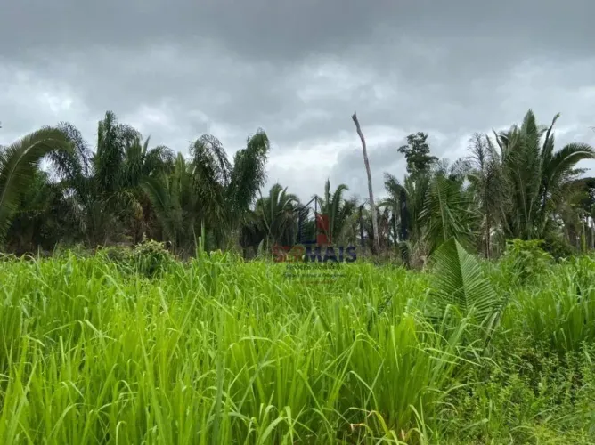 Sítio à venda, 968000 m² por R$ 1.000.000 - Zona Rural - Machadinho D'Oeste/RO