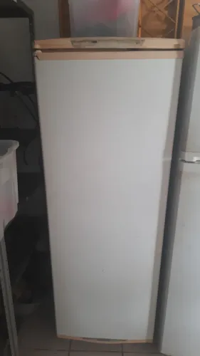 Freezer vertical