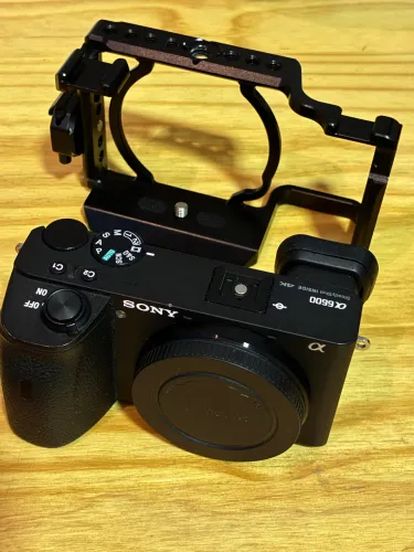 Sony a6600