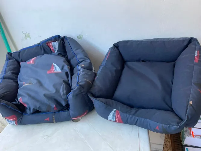 Caminha para pet