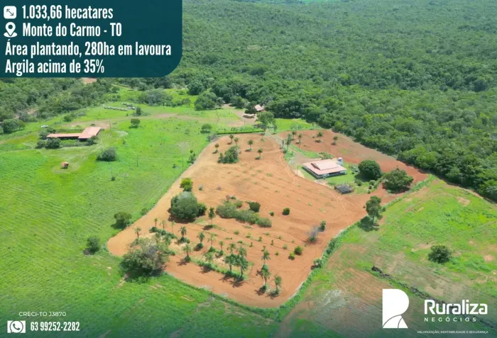 Fazenda em Monte do CarmoTO | 280 ha em Lavoura | Argila acima de 35% | Alto Potencial Agr