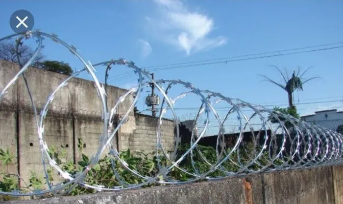 Concertina galvanizada