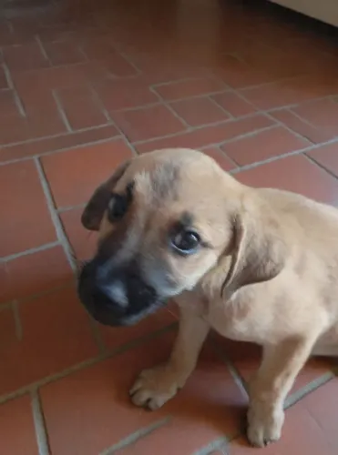De um lar cheio de amor para essa guerreira.